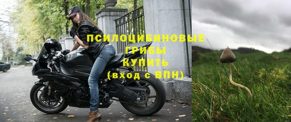 apvp Нязепетровск